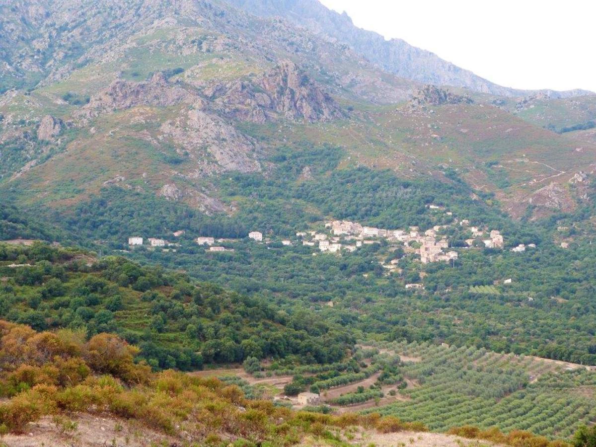 Appartement Raffine A Feliceto 120 M² Avec Vue Sur Montagne Exterior foto